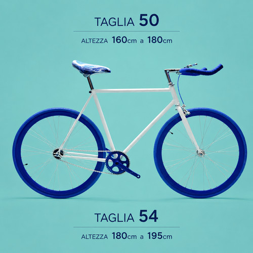 Bici fixed uomo single speed